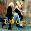 Dixie Chicks - Wide Open Spaces  artwork