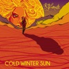 Cold Winter Sun - Single