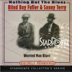 Nothing but the Blues - Blind Boy Fuller