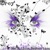 Drey-Little So