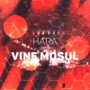 Vine Mosul - Single