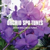 Orchid Spa Tunes, Vol. 2 (Asian Wellness Tunes)