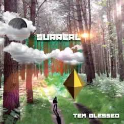 Surreal by Tem Blessed album reviews, ratings, credits