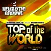 Top of the World, Pt. 3 (feat. Deremius) - Single album lyrics, reviews, download