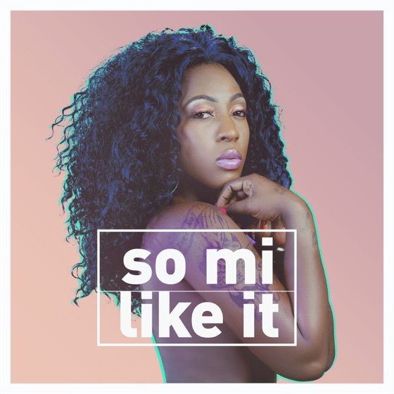 Cover artwork for So Mi Like It