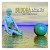 Buddhatronic the Compilation, Vol. 1 (Best of Mystic Bar Sound Meets Buddha Chill Out Lounge)