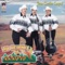 El serrucho - Los Ciclones Del Arroyo lyrics
