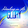 Healing in the Glory, 2011