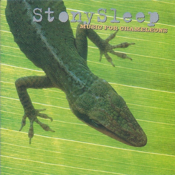 Cover artwork for Pimp With a Flat