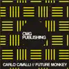 Stream & download Future Monkey (Future House Mix) - Single