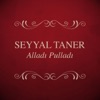 Seyyal Taner - Şiirimin Dili