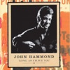 John Hammond - Stranded