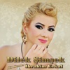 Bir Demet İbrahim Erkal (feat. Ibrahim Erkal)