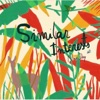 Similar Interests - No Olvido