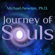 Michael Newton - Journey of Souls: Case Studies of Life Between Lives (Unabridged)