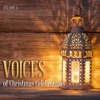 Voices of Christmas Celebrations, Vol. 4