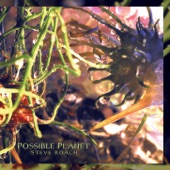 Steve Roach - First Murmer