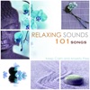 Relaxing Sounds 101 - Keep Calm and Anxiety Free
