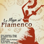 Lo Mejor del Flamenco artwork
