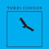 Condor - Single