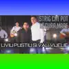 Strig Cat Pot In Gura Mare (feat. Vali Vijelie) song lyrics