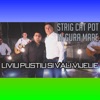 Strig Cat Pot In Gura Mare (feat. Vali Vijelie) - Single