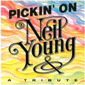 Pickin' On Series - After The Gold Rush - Interlude