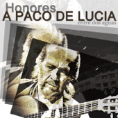 Homenaje a Paco de Lucia artwork