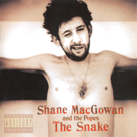 Shane MacGowan, Sinéad O'Connor & The Popes - Haunted artwork