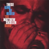 The Matthew Skoller Band - Let the World Come to You