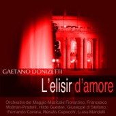 Donizetti: L'elisir d'amore artwork