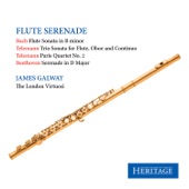 Flute Serenade artwork