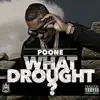 What Drought? album lyrics, reviews, download