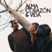 Alma Corazón Y Vida artwork