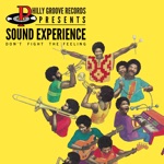 Sound Experience - Don't Fight the Feelin'