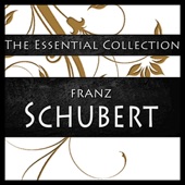 Schubert The Essential Collection artwork