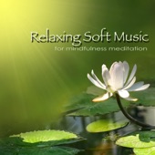 Relaxing Soft Music for Mindfulness Meditation - Deep Relaxation & Sleep artwork