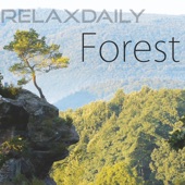 relaxdaily - N°079