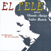 La Fuente de Lo Jondo (feat. Vicente Amigo & Isidro Muñoz) - El Pele