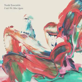 Album herunterladen Tonik Ensemble - Until We Meet Again