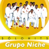 Sólo Hits: Grupo Niche artwork