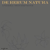 De rerum natura artwork