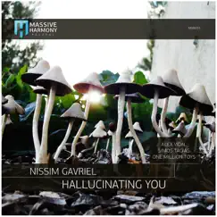 Hallucinating You by Nissim Gavriel album reviews, ratings, credits