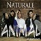 Animal (feat. Bachata Heightz) - Naturale lyrics