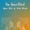 Dream State - Spoken Bird lyrics