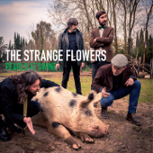 Pearls at Swine - The Strange Flowers