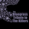 Pickin' On Series - Mr. Brightside
