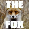 The Fox (Karaoke Version) - Single