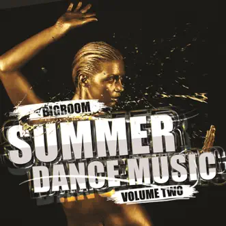 Bigroom Summer Dance Music, Vol. 2 by Various Artists album reviews, ratings, credits