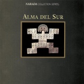 Alma Del Sur artwork